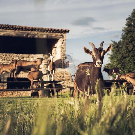 Le Domaine Du Castellas Sivergues Exteriér fotografie