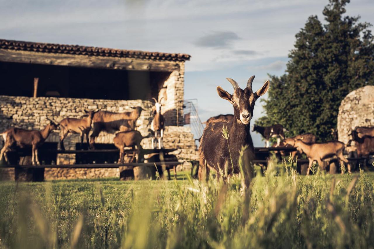 Le Domaine Du Castellas Sivergues Exteriér fotografie